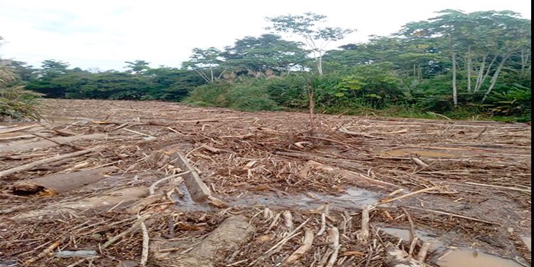 Riosucio: paro cívico para evitar la muerte del río Salaquí