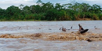 $ 1.449 millones para destronque, limpieza y señalización del río Tamaná, Nóvita.