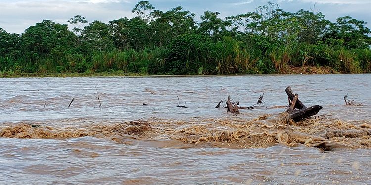 $ 1.449 millones para destronque, limpieza y señalización del río Tamaná, Nóvita.