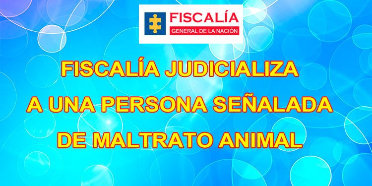 Fiscalía judicializa a una persona señalada de maltrato animal