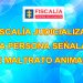 Fiscalía judicializa a una persona señalada de maltrato animal