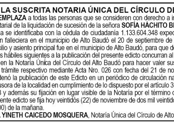Edicto Sofía Háchito Becheche