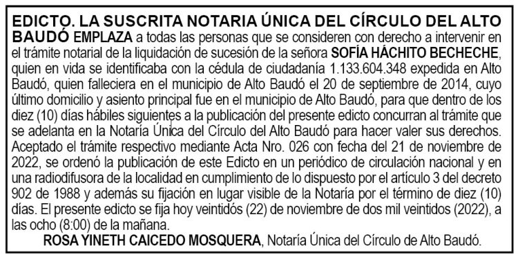 Edicto Sofía Háchito Becheche