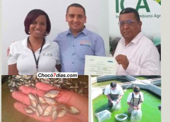 Certifican producción de alevinos en Unión Panamericana