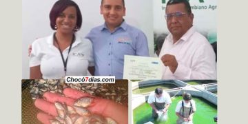 Certifican producción de alevinos en Unión Panamericana