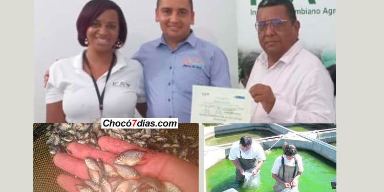 Certifican producción de alevinos en Unión Panamericana