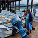 Entregan botes para pesca en Bahía Solano