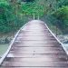 Tadó: $ 284 millones para adecuación de puentes en la zona rural
