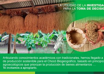 Un modelo de producción sostenible con enfoque de derechos bioculturales para el Chocó Biogeográfico propone el IIAP