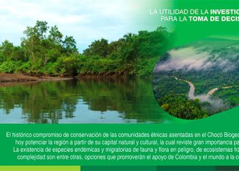 Por su reconocimiento económico en el mercado global de carbono y la creciente cultura ambiental global, la conservación ancestral es actualmente una apuesta productiva para avanzar en la justicia social y ambiental