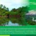 Por su reconocimiento económico en el mercado global de carbono y la creciente cultura ambiental global, la conservación ancestral es actualmente una apuesta productiva para avanzar en la justicia social y ambiental