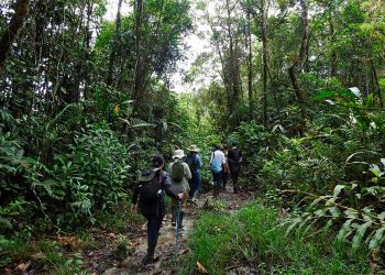 Turismo científico y de naturaleza en Salero, Chocó