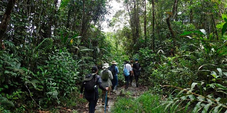 Turismo científico y de naturaleza en Salero, Chocó