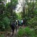 Turismo científico y de naturaleza en Salero, Chocó