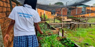 Universidad al Campo certificó a cien estudiantes de Carmen del Darién y Belén de Bajirá