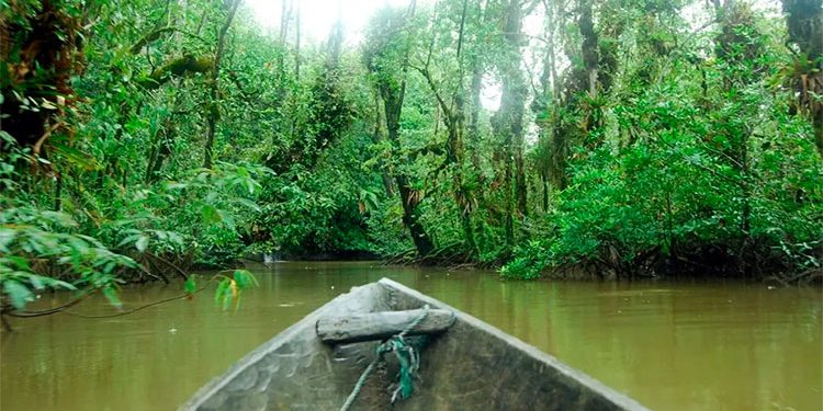 Litoral de San Juan: alcantarillado y mejora de navegabilidad de esteros