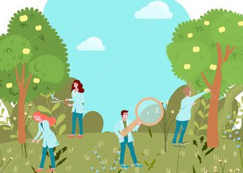 Jóvenes investigadores trabajarán en proyectos de Chocó, Valle, Cauca y Nariño