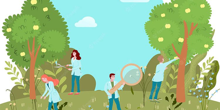 Jóvenes investigadores trabajarán en proyectos de Chocó, Valle, Cauca y Nariño