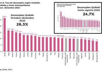 Creció el desempleo en Quibdó en el último trimestre