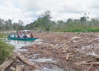 Riosucio: siguen las pérdidas de los campesinos por los ríos taponados