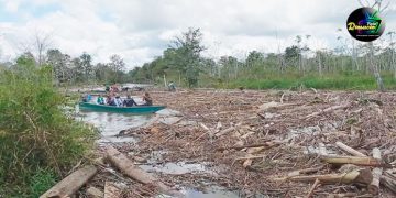 Riosucio: siguen las pérdidas de los campesinos por los ríos taponados