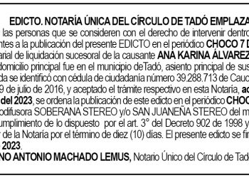 edicto-ana-karina-alvarez