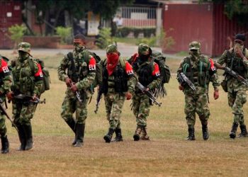Paro armado del ELN impide ayudas humanitarias en Nóvita