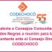 Convocatoria a Consejos Comunitarios de Comunidades Negras a reunión para la elección de representante ante el Consejo Directivo de CODECHOCÓ