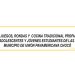 Festival de juegos, rondas y cocina tradicional propia: Las Ánimas, Unión Panamericana, Chocó