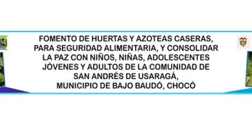 Huertas y azoteas caseras: San Andrés de Usaragá, Bajo Baudó, Chocó