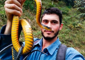 Chocó: El avistador de ranas y culebras que enseña la biodiversidad de Guaduas