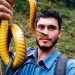 Chocó: El avistador de ranas y culebras que enseña la biodiversidad de Guaduas