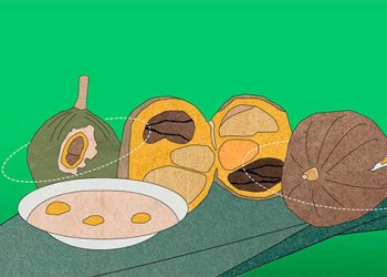 El pacó: la joya escondida de la gastronomía chocoana que puede desaparecer