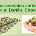 Pago por servicios ambientales en el Darién, Chocó