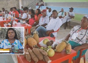 Vitrina comercial y mercado campesino en Bajo Baudó