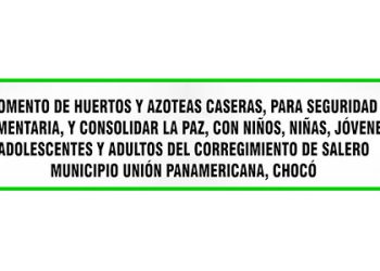 Huertas y azoteas caseras para seguridad alimentaria y consolidar la paz: consejo comunitario Salero, Unión Panamericana