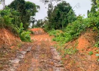 Otro elefante blanco en el Chocó: vía a San Martín de Purré