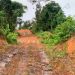 Otro elefante blanco en el Chocó: vía a San Martín de Purré