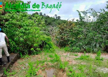 Bagadó: inician la obra de adecuación del relleno sanitario