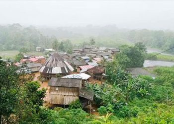 Admiten demandas por derechos territoriales indígenas sobre 26 mil hectáreas en el Chocó