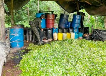 coca-carmen-darien-B