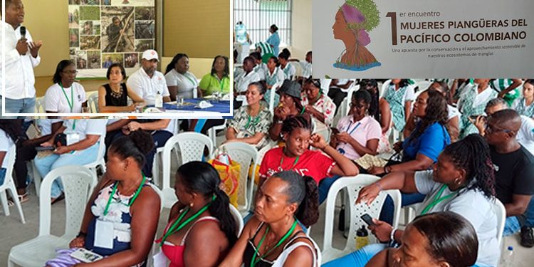 Nuquí: encuentro de mujeres piangüeras