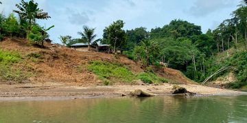 Fedeorewa denuncia retención de educadores en el río Napipí