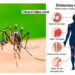 Alerta sanitaria por brote de dengue en Quibdó