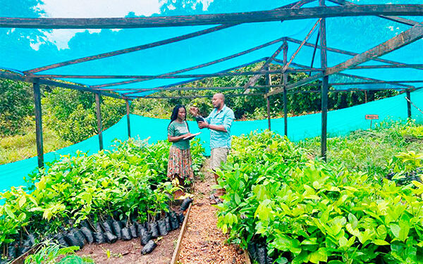 Bajo Baudó: restauración ecológica en Docampadó