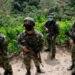 Tadó: un soldado muerto y dos heridos al ser atropellados por un camión
