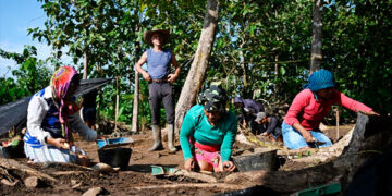 Indígenas excavan la primera ciudad española de América, origen de la conquista