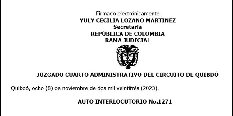 Auto decide recurso de reposición,