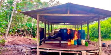 Carmen del Darién: destruyen 8 laboratorios de coca en Chintadó