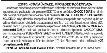 edicto-ma-mercedes-arias